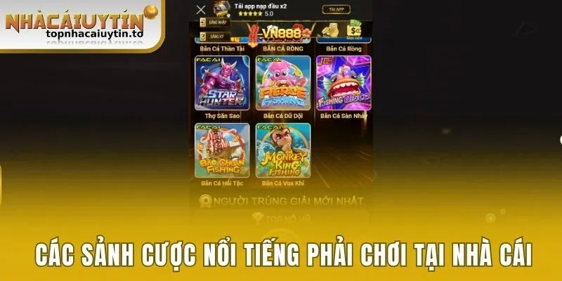 VN888 - Sân Chơi Cá Cược Đổi Thưởng Đặc Sắc Cho Người Việt