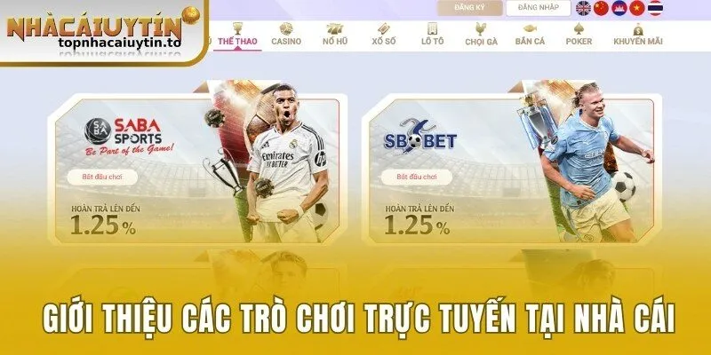 Giới thiệu các trò chơi trực tuyến tại nhà cái uy tín