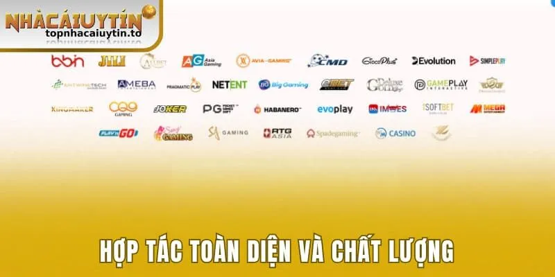 Hợp tác uy tín, toàn diện và chất lượng