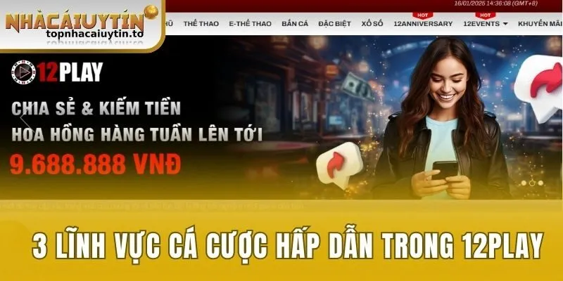 Lĩnh vực cá cược hấp dẫn mà nhà cái đã tích hợp