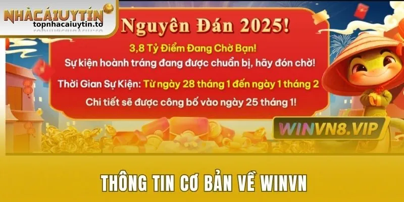 Thông tin cơ bản về Winvn